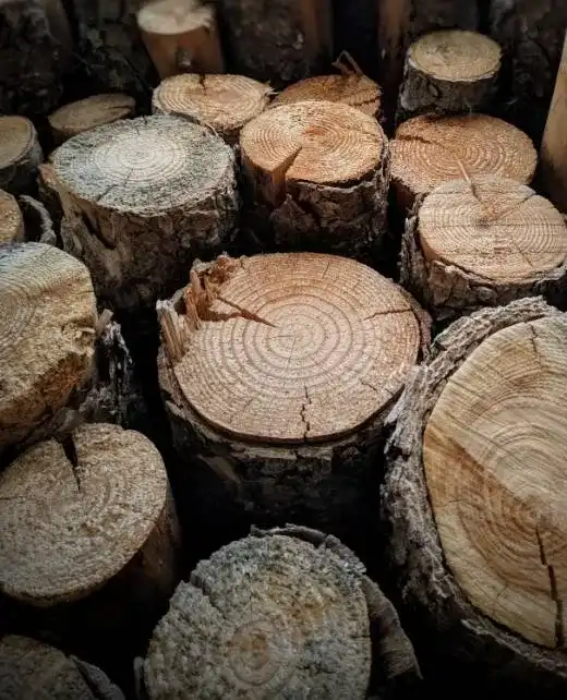 Wood Logs